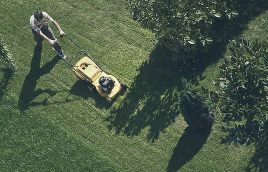 Weekly Lawn Maintenance