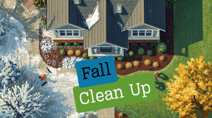 Fall Clean-Up