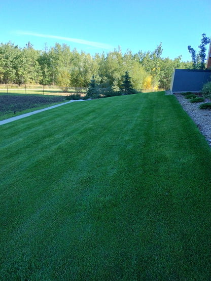 Weekly Lawn Maintenance