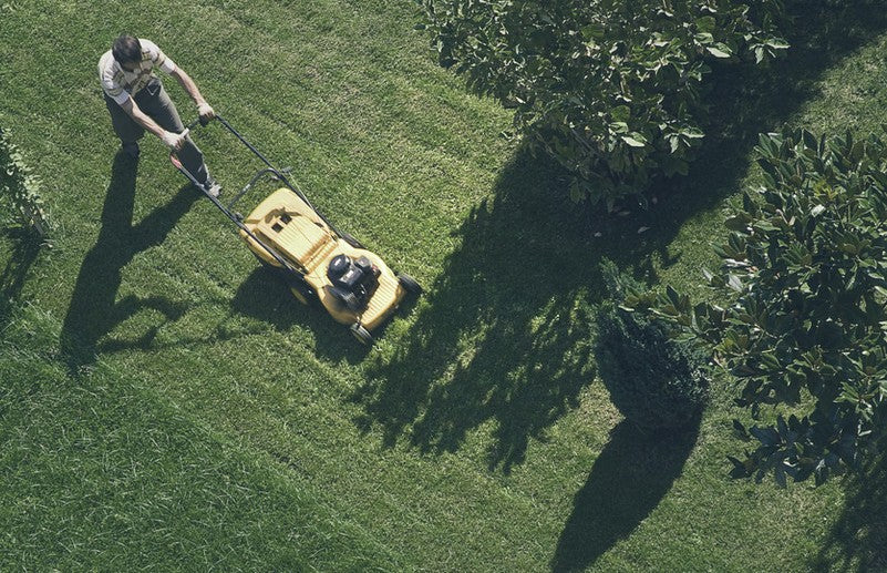 Monthly Lawn Maintenance