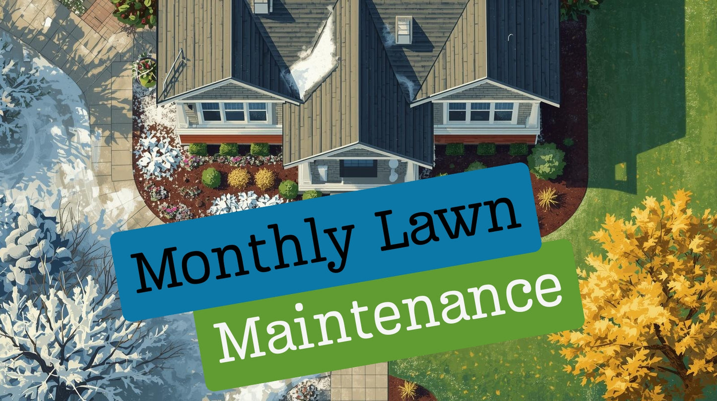Weekly Lawn Maintenance