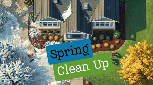 Spring Clean-Up