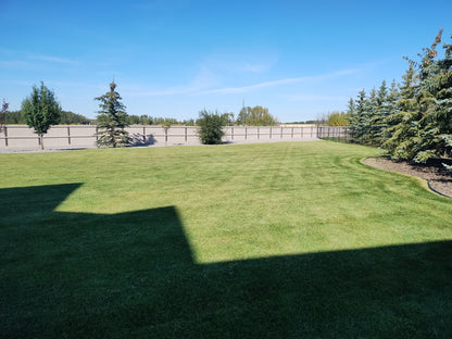 Weekly Lawn Maintenance
